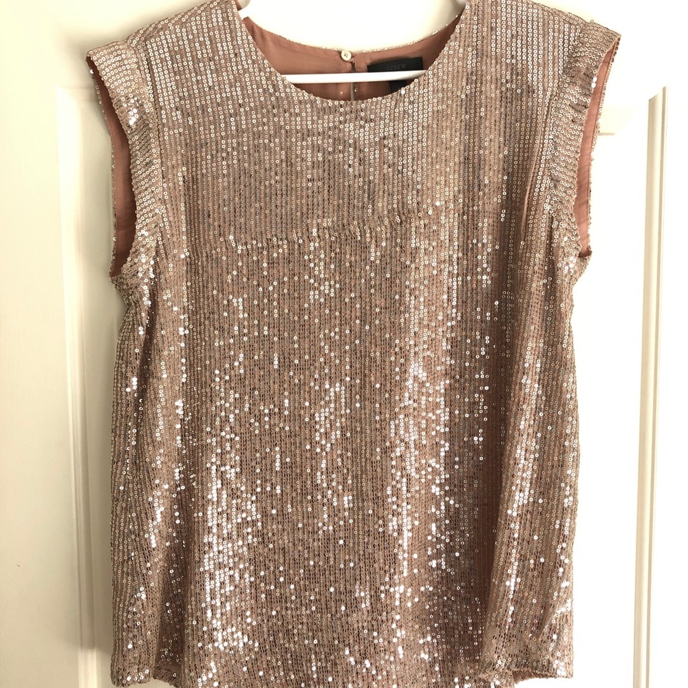 Sparkly Blush J.Crew Blouse
